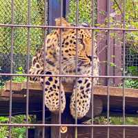 馬六甲動物園：野生動物的奇妙🦉🐾