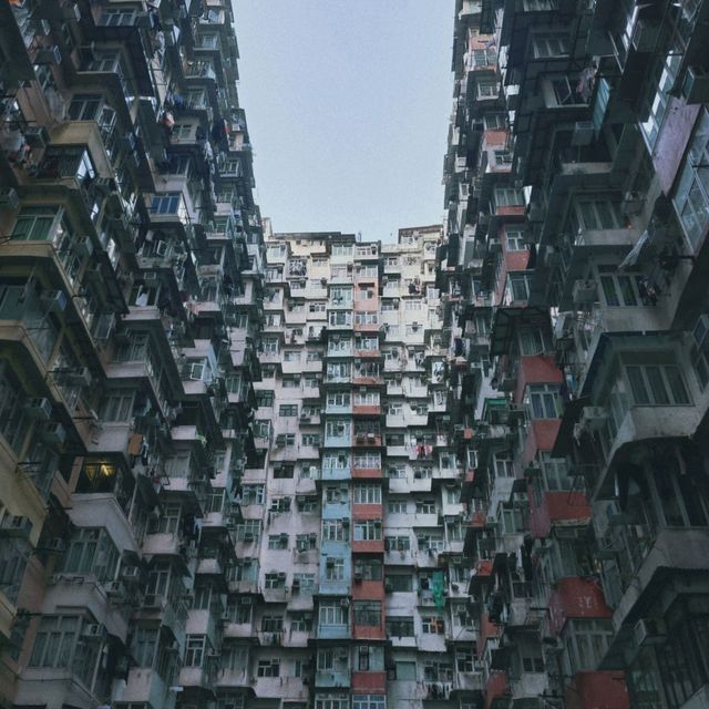 Hong Kong ฮ่องกง 
