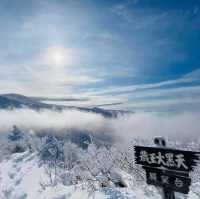 玩雪也可以選日本東北藏王