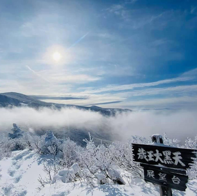 玩雪也可以選日本東北藏王
