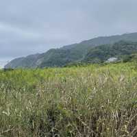 鋸南町　鋸山