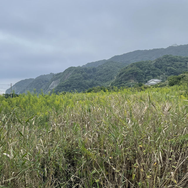 鋸南町　鋸山