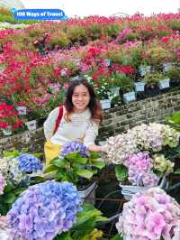 Flora Park, Cameron Highlands is Perfect for Breathtaking Views and Fresh Air