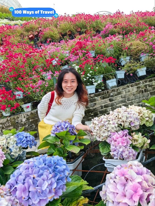 Flora Park, Cameron Highlands is Perfect for Breathtaking Views and Fresh Air