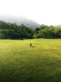 Kariyathumpara: Where Nature Meets Tranquility – Discover Kerala’s Best-Kept Secret