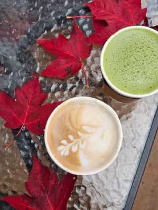 🇨🇦 캐나다 퀘벡 단풍뷰 카페 ☕️