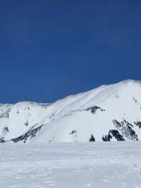 ❄️✨Tateyama 