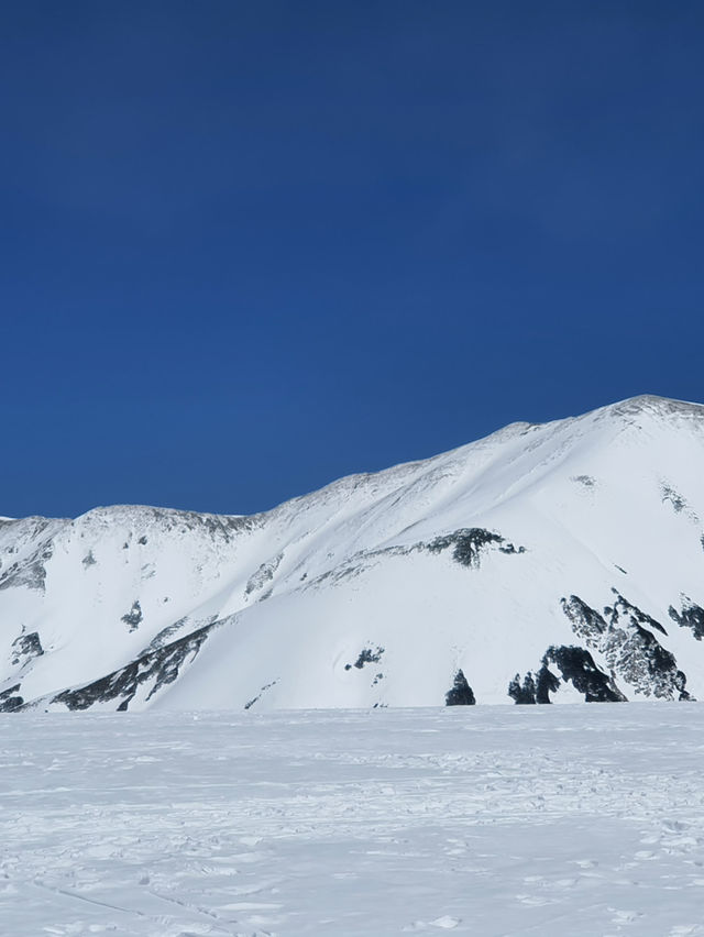 ❄️✨Tateyama 