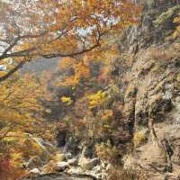 Nature’s best, Seoraksan
