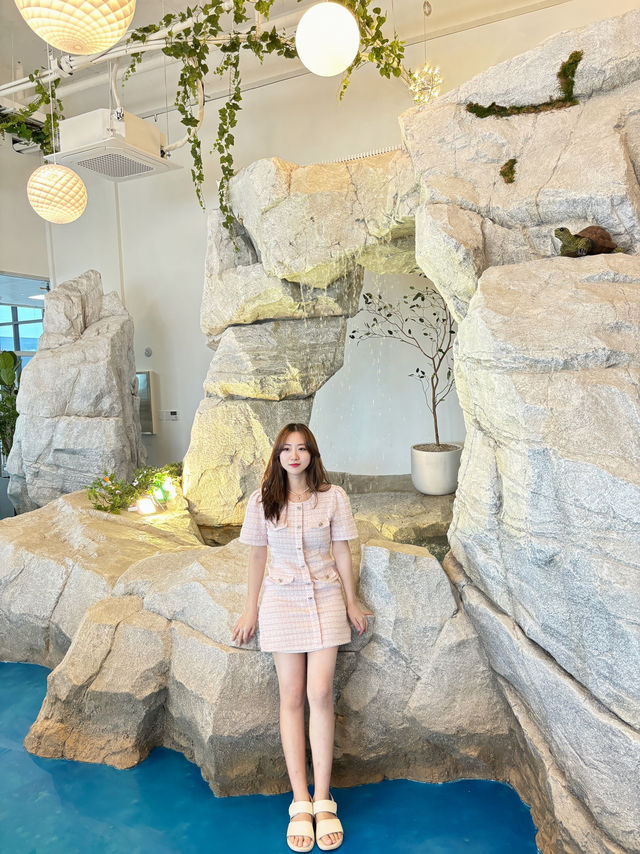 동굴에서 거북이빵 먹을 수 있는 카페