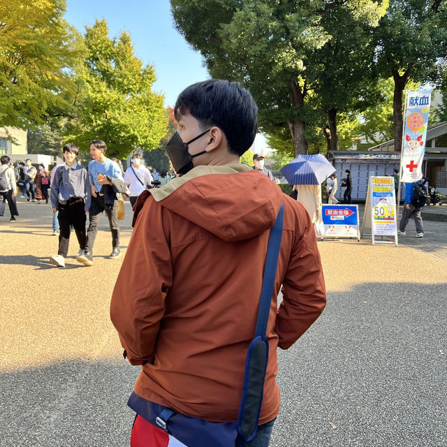 Ueno Park • Tokyo 🇯🇵 Japan