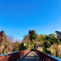 王子公園：城市中的天然氧吧 🌿🌞