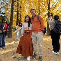 Beautiful Nami Island