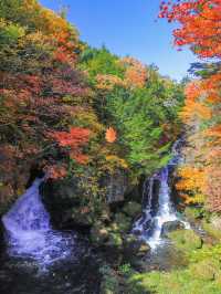 【栃木】奥日光へ秋探し