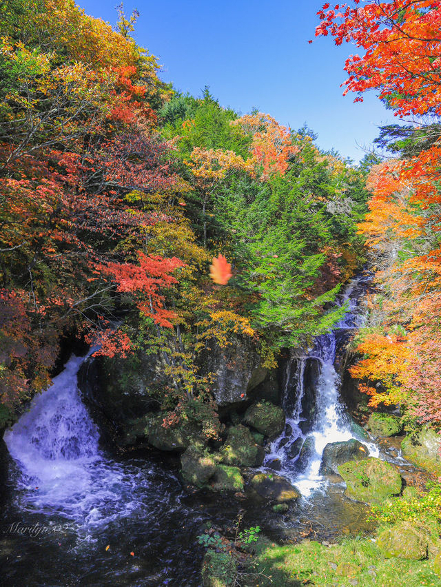 【栃木】奥日光へ秋探し