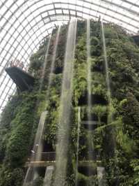 Gardens By The Bay แลนด์มาร์คที่ห้ามพลาดในสิงคโปร์