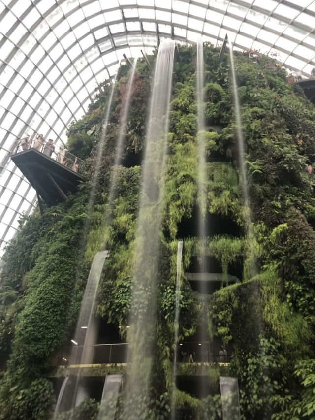 Gardens By The Bay แลนด์มาร์คที่ห้ามพลาดในสิงคโปร์