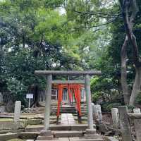 水天宮🐲歷史的韻味！⛩️✨