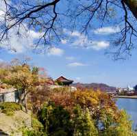 ฤดูใบไม้ร่วงในเกาหลีใต้🍂🍁(โซล & จินจู)
