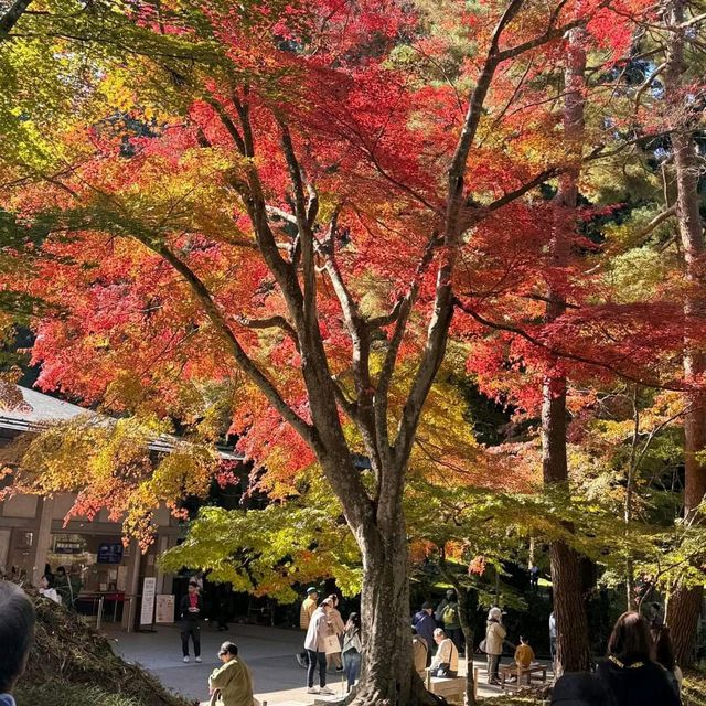 Hiraizumi, Iwate