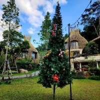 คาเฟ่ลับในป่าลึก พร้อมที่พัก : T Story - แม่กำปอง