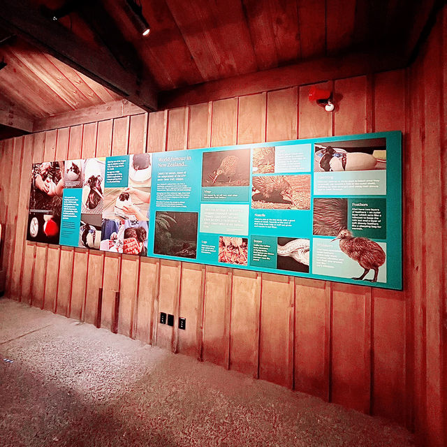 【NZ】オークランドの動物園🐱