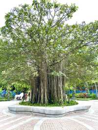 シンガポール　シンガポール観光　Indian Gardenでインドを感じた！