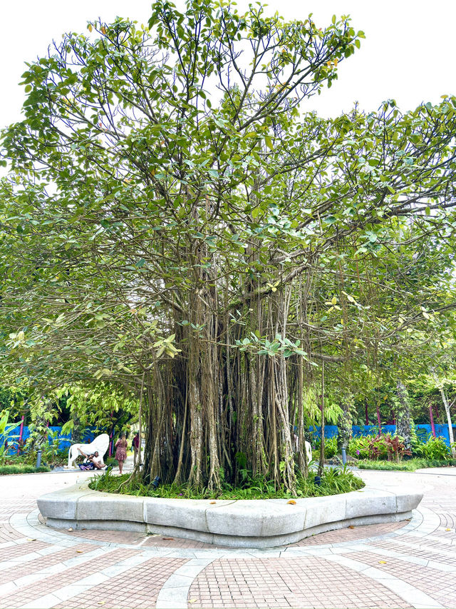 シンガポール　シンガポール観光　Indian Gardenでインドを感じた！