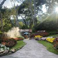 กาแล เชียงใหม่ - ร้านอาหารท่ามกลางธรรมชาติ 🌳🍃