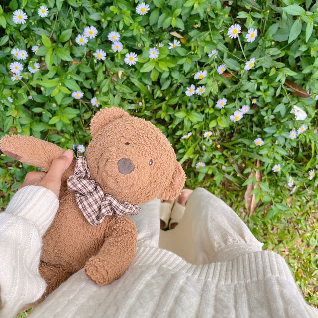 คาเฟ่สุดคิ้วท์ที่เชียงราย 🧺🌼Vanilla cabin