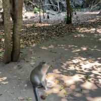 Nature’s Hidden Sanctuary: Exploring Phraya Nakhon Cave