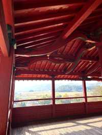【栃木×佐野】釘を使わない建築  朱塗りの舞台からの眺めが素晴らしい