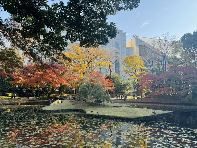 賞楓去 小石川後樂園