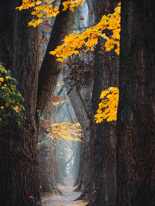 3 Reasons Why Nature Lovers Need to Visit Germany