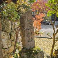 有馬溫泉銀杏秘境 〔潼本神社〕
