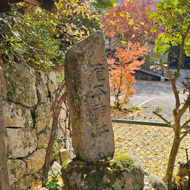 有馬溫泉銀杏秘境 〔潼本神社〕