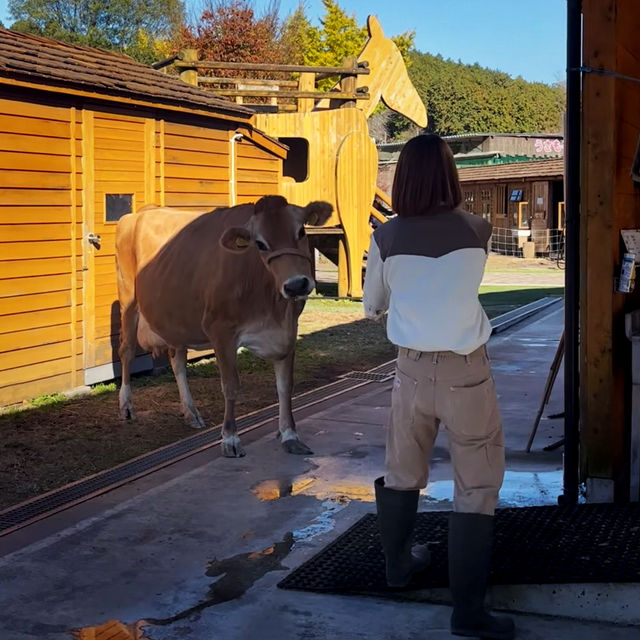 Magical Fun Day at Makaino Farm!