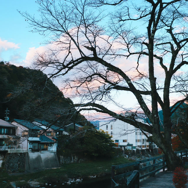 Hida-Furukawa