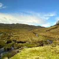 Cradle Mountain-Lake St Clair National Park, Tasmania