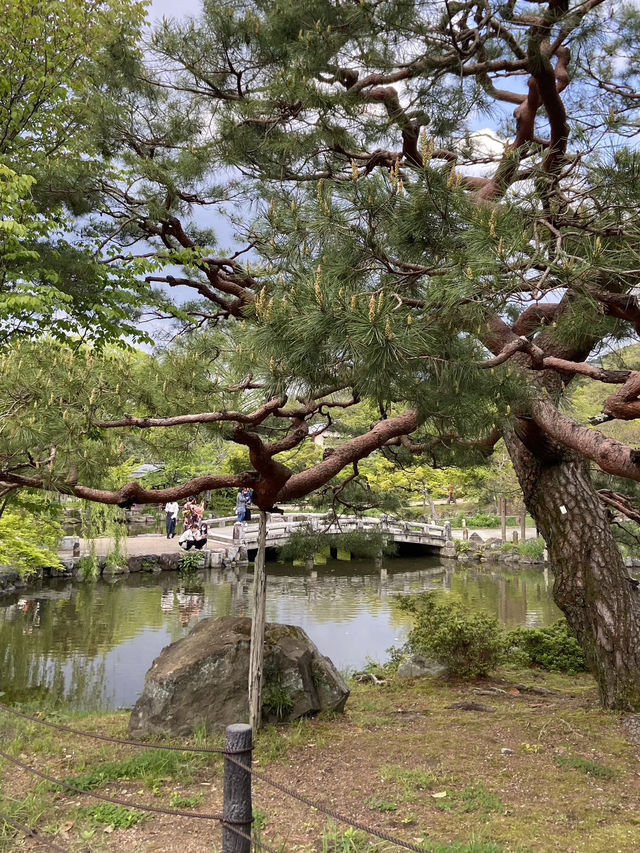 Maruyama Park: A Tranquil Escape