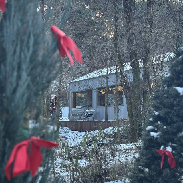 숲 속에 있는 대형 크리스마스 카페 꼭 다녀오세요🎄