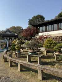  Serene Scenery in Suzhou at Tiger Hill