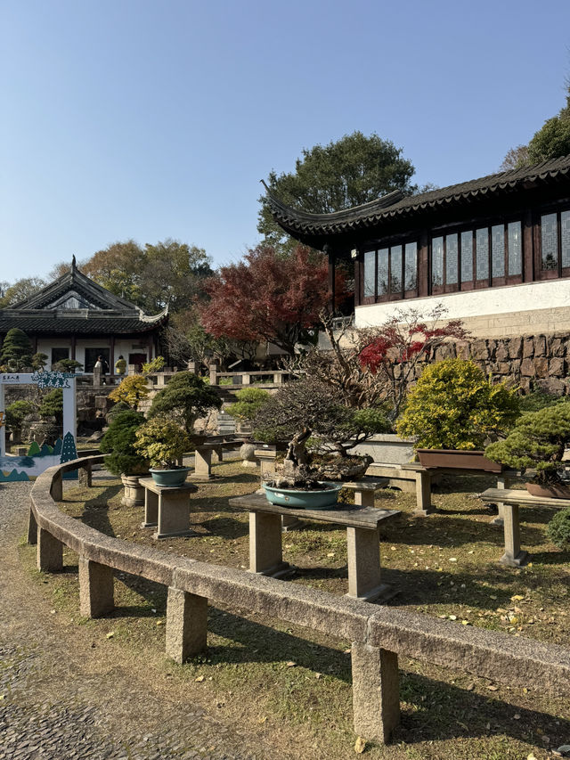  Serene Scenery in Suzhou at Tiger Hill