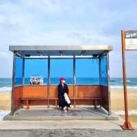 겨울 바다