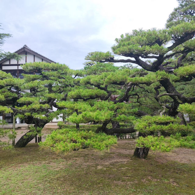 感受栗林公園的自然魅力與文化底蘊