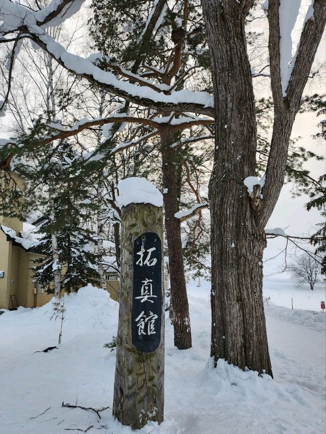 삿포로의 멋진사진을 볼 수 있는 탁신관 갤러리❄️