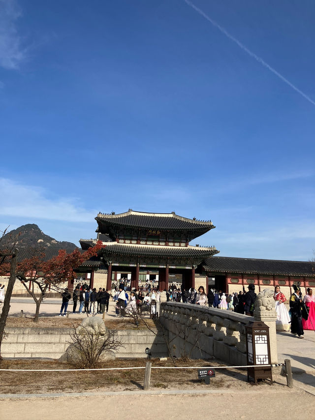 【韓服レンタルで楽しむ！】景福宮の魅力と攻略ポイント🇰🇷