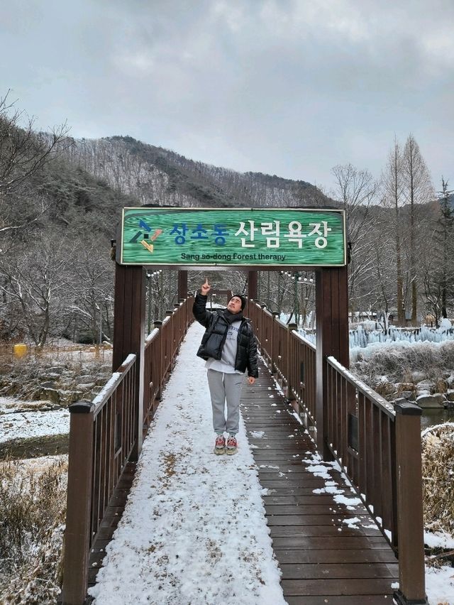 여기가 우리나라맞아?이국적인 대전여행지