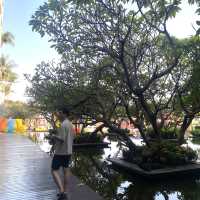 โรงแรมดุสิตธานี หัวหิน – โรงแรม 5 ดาว ที่สุดจี้ง
