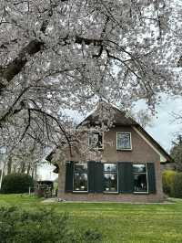 荷蘭🇳🇱童話小鎮羊角村（Giethoorn）
